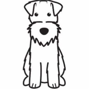 Meet your Posher, Rose